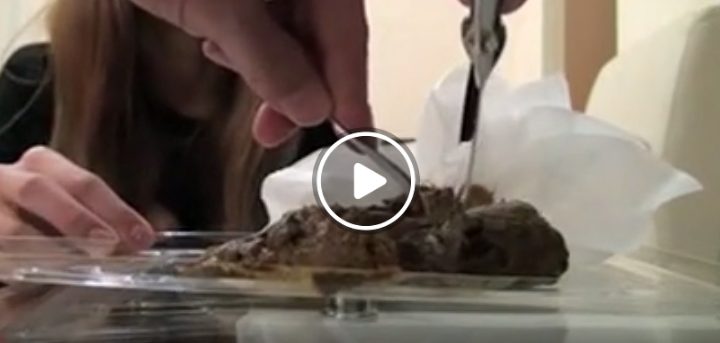 お姉さんの新鮮うんこをステーキカット