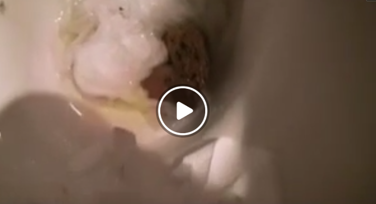 排泄したうんこをトイレで流す自撮り女