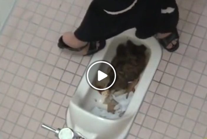 糞詰まり和式トイレ